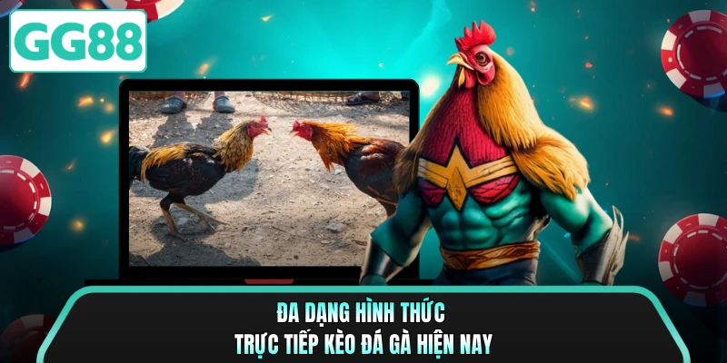 Đa dạng hình thức trực tiếp kèo đá gà hiện nay