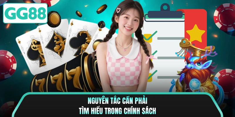 Nguyên tắc cần phải tìm hiểu trong chính sách