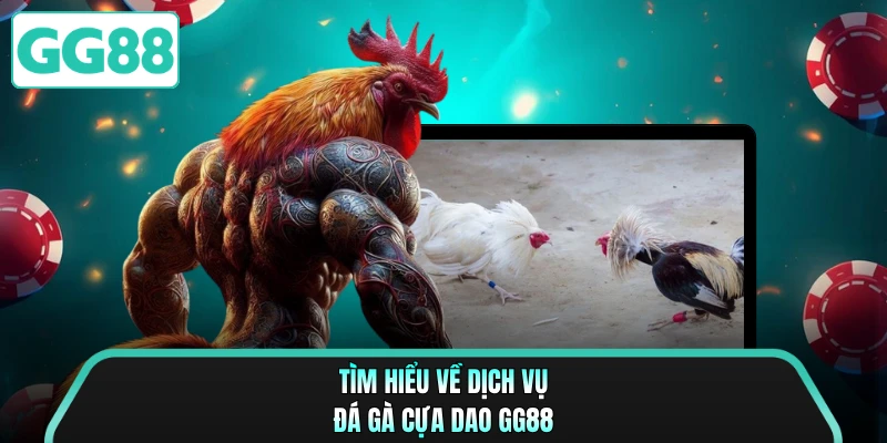 Tìm hiểu về dịch vụ đá gà cựa dao GG88